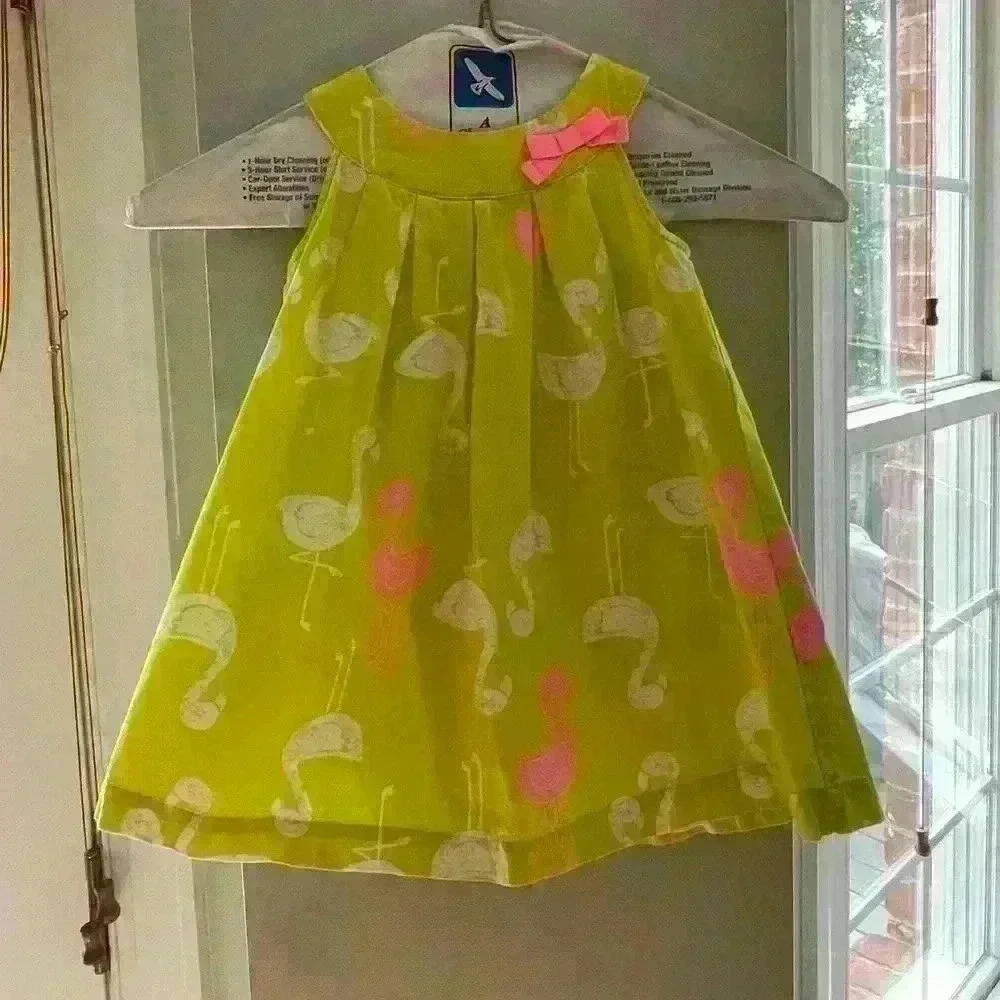 Carter’s Flamingo Dress, 18 months